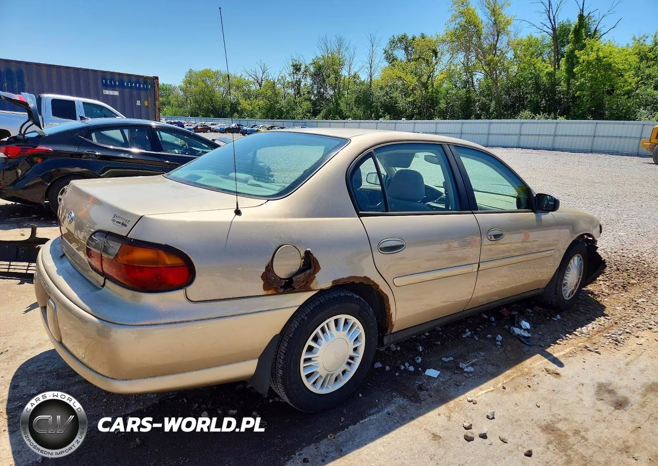 2001 Chevrolet Malibu VIN:1G1ND52J516199034 - 3