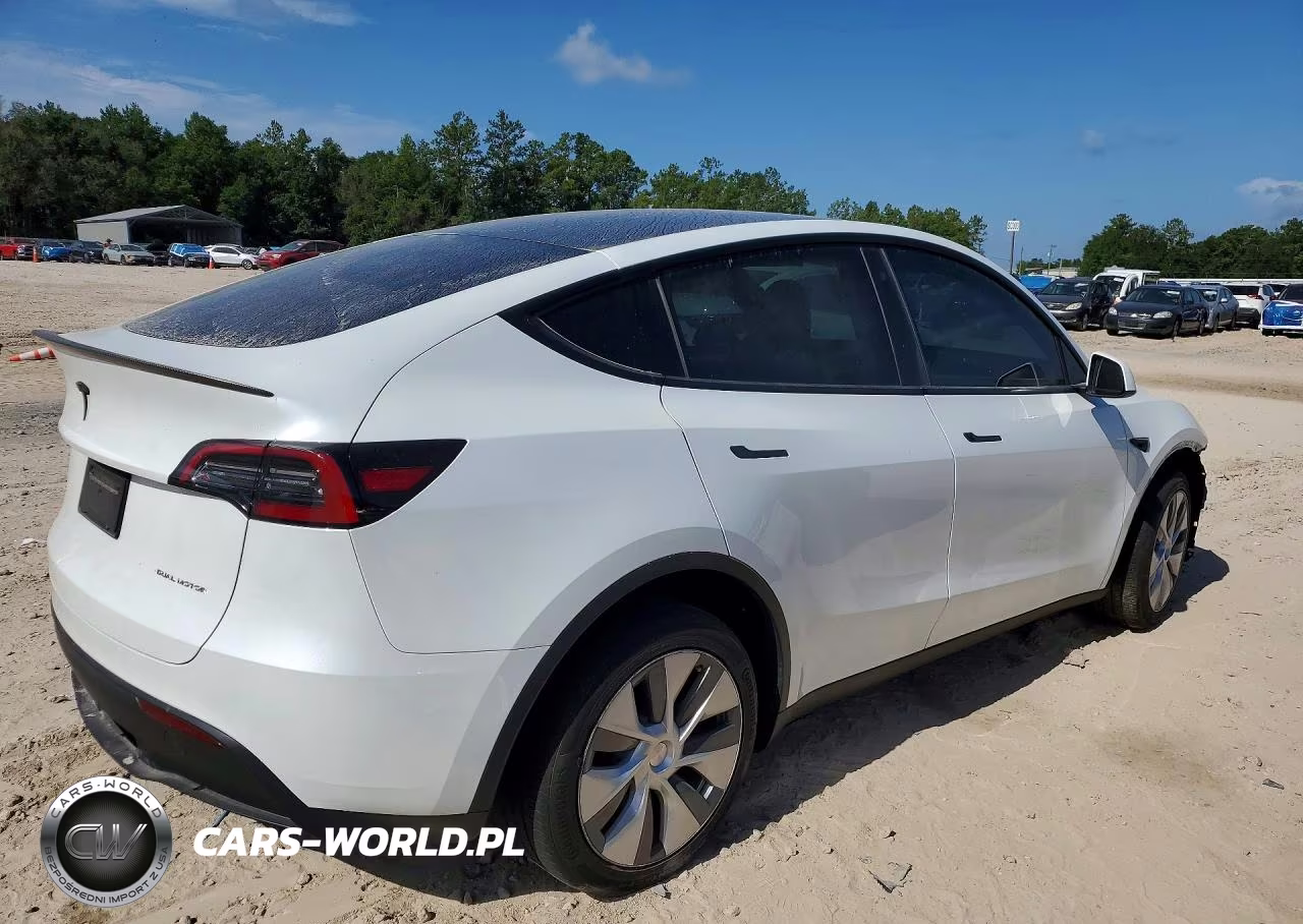 2023 Tesla Model Y VIN:7SAYGDEE6PA107625 - 3