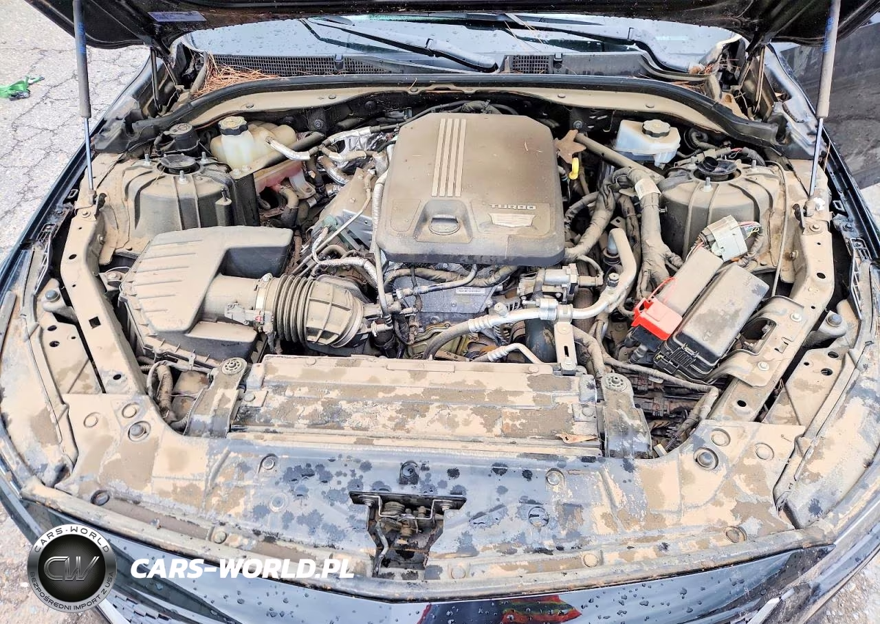 2021 Cadillac Ct5 Premium Luxury VIN:1G6DN5RK1M0147926 - 11