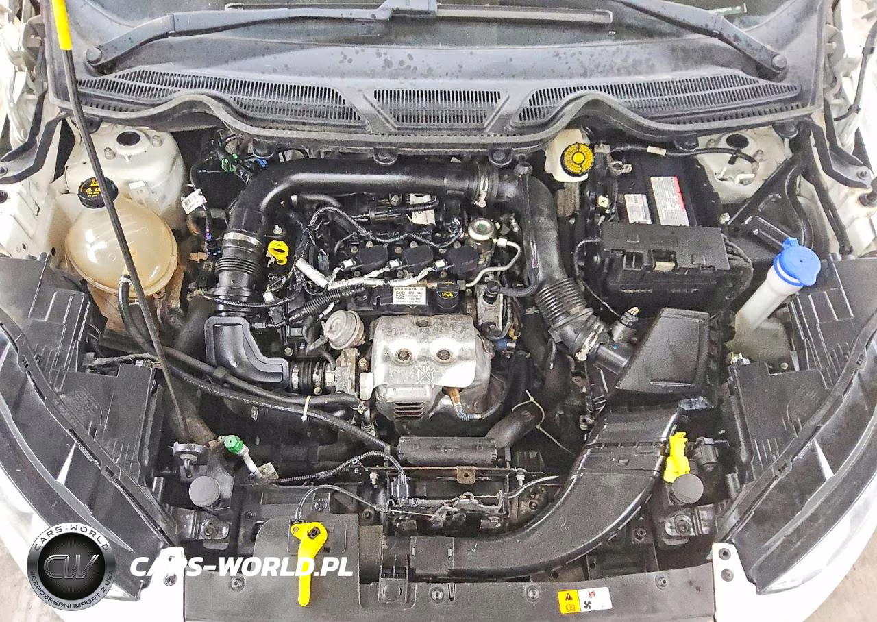 2019 Ford Ecosport Se VIN:MAJ3S2GE1KC296190 - 11