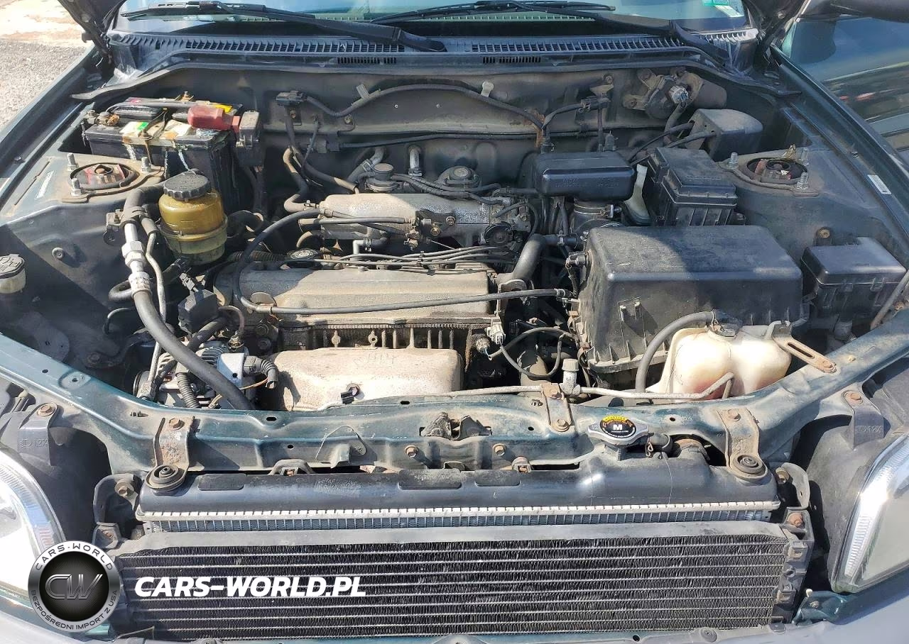 1999 Toyota Rav4 Base VIN:JT3HP10V4X7126951 - 12