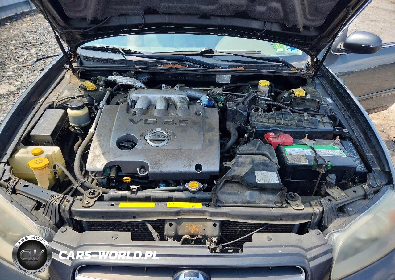 2003 Nissan Maxima Gxe VIN:JN1DA31D93T518230 - 11
