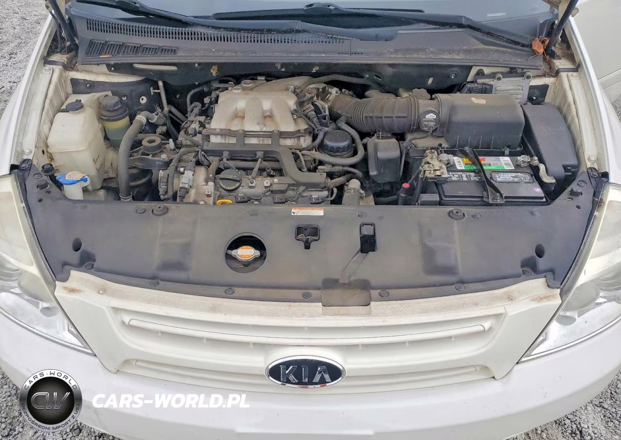 2008 Kia Sedona Ex-Lx VIN:KNDMB233X86256328 - 12