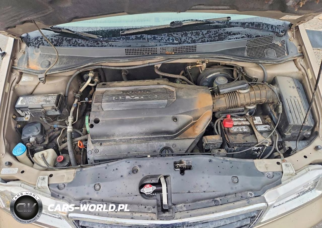 2004 Honda Odyssey Exl VIN:5FNRL18034B072018 - 12