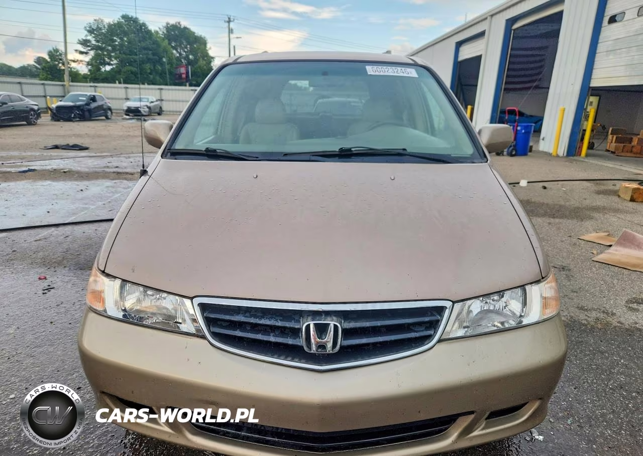 2004 Honda Odyssey Exl VIN:5FNRL18034B072018 - 5