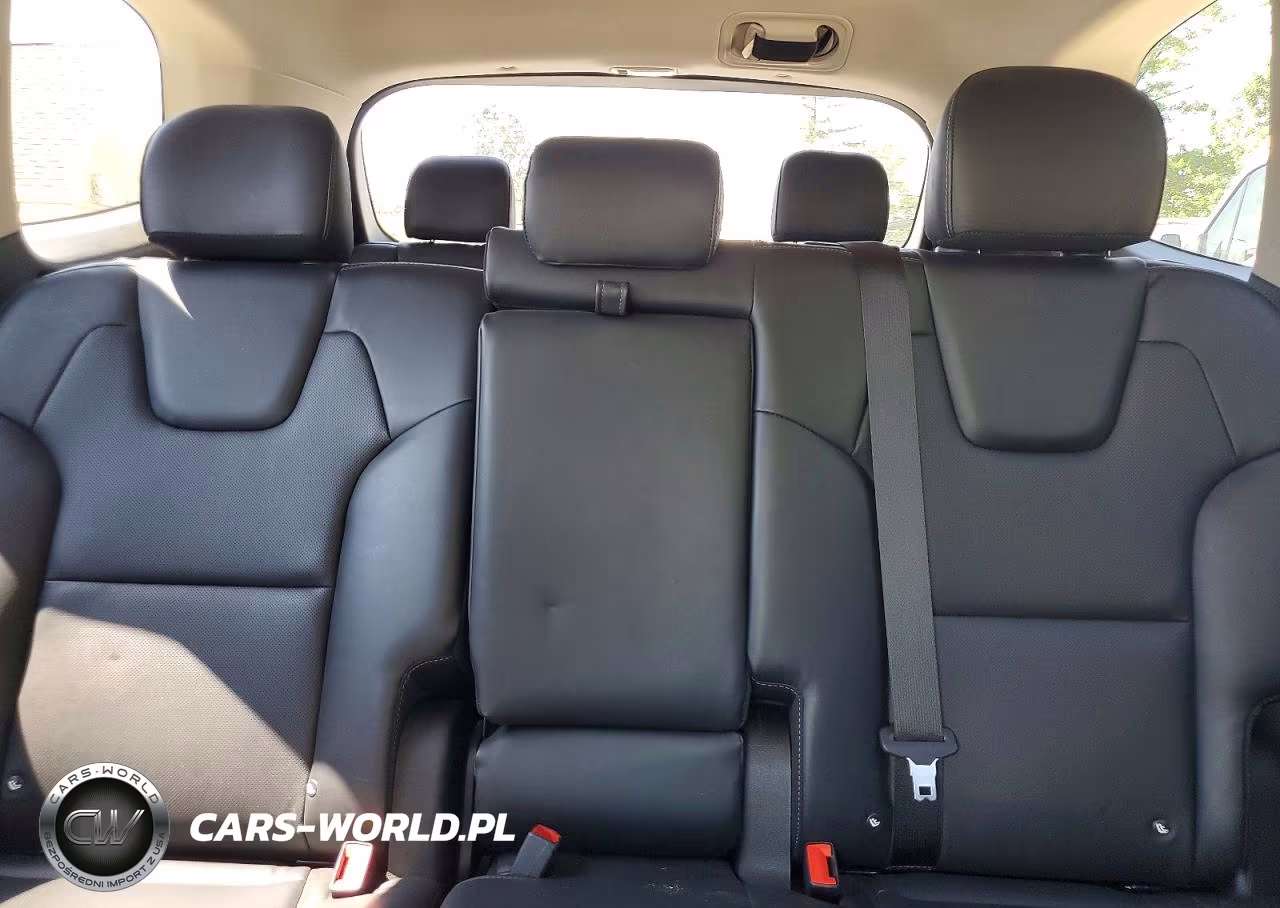 2021 Kia Telluride Ex VIN:5XYP3DHC8MG137537 - 10