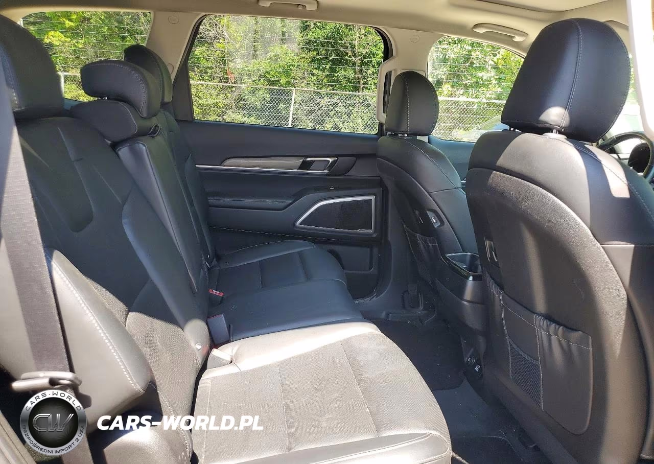 2021 Kia Telluride Ex VIN:5XYP3DHC8MG137537 - 11