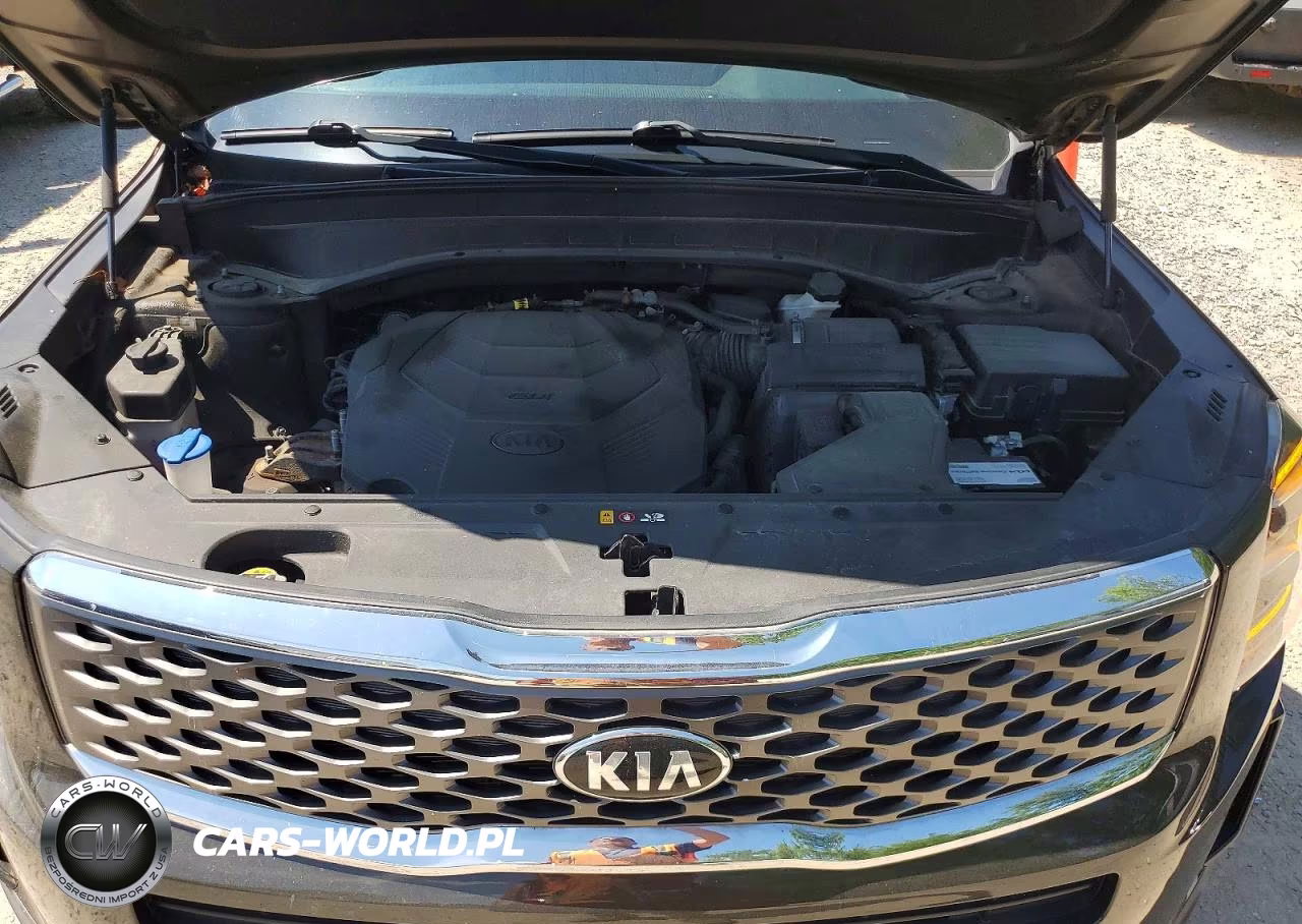 2021 Kia Telluride Ex VIN:5XYP3DHC8MG137537 - 12