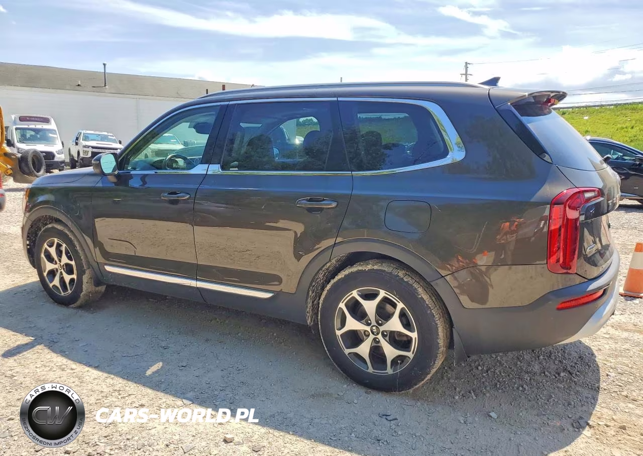 2021 Kia Telluride Ex VIN:5XYP3DHC8MG137537 - 2