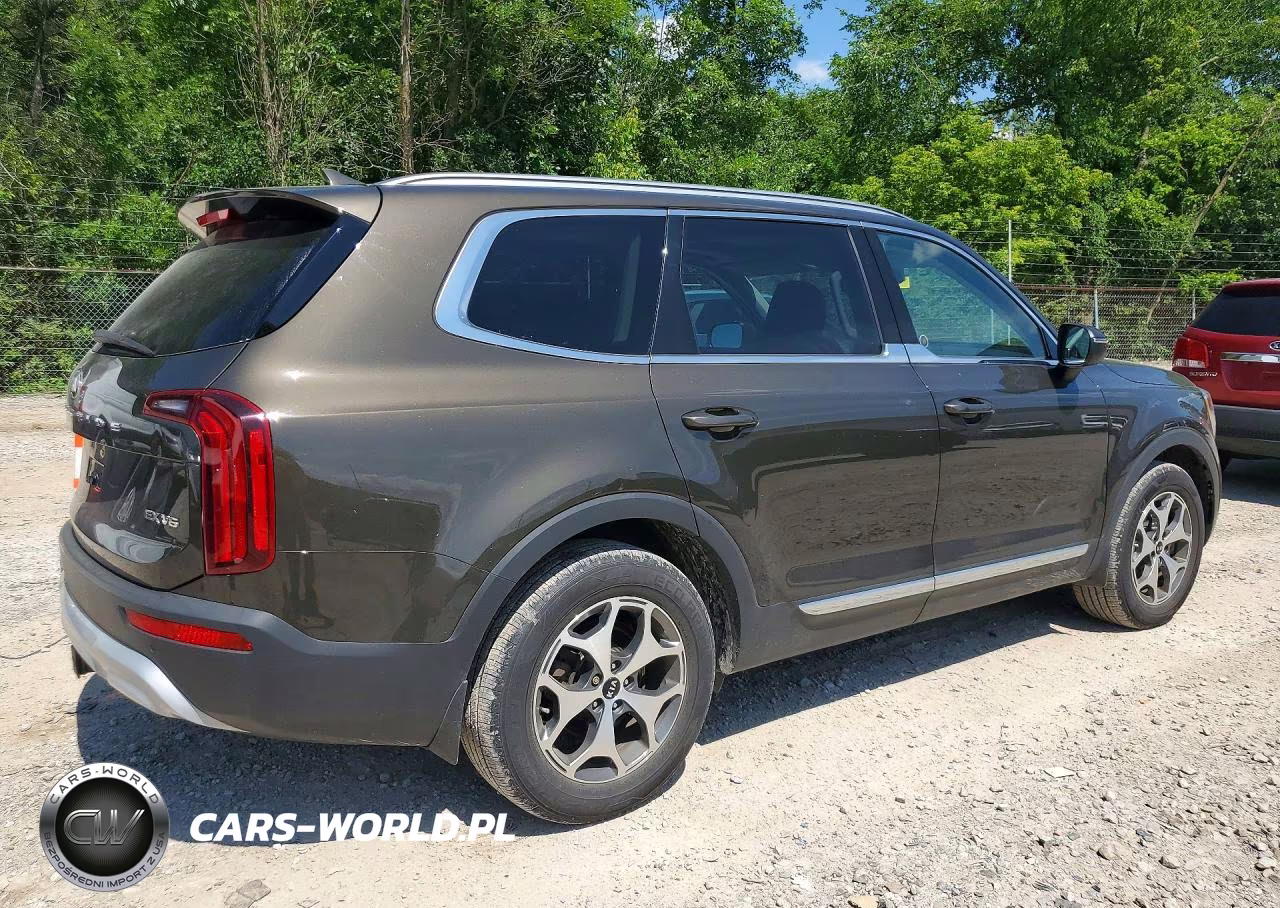 2021 Kia Telluride Ex VIN:5XYP3DHC8MG137537 - 3