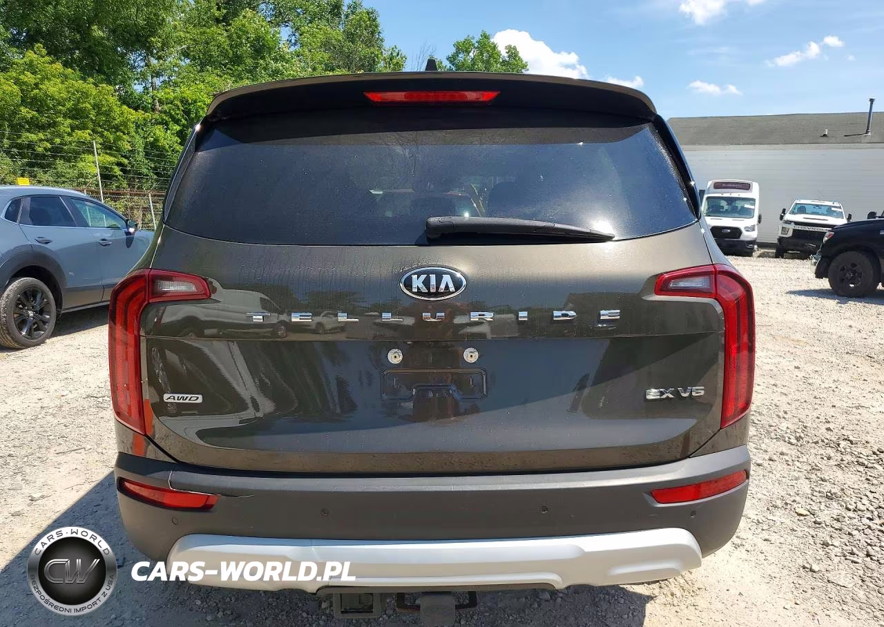 2021 Kia Telluride Ex VIN:5XYP3DHC8MG137537 - 6