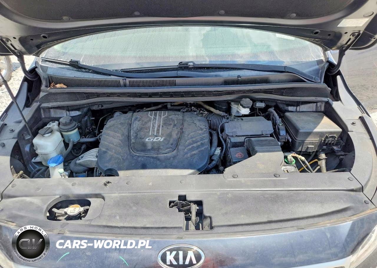 2016 Kia Sedona Lx VIN:KNDMB5C18G6200953 - 12