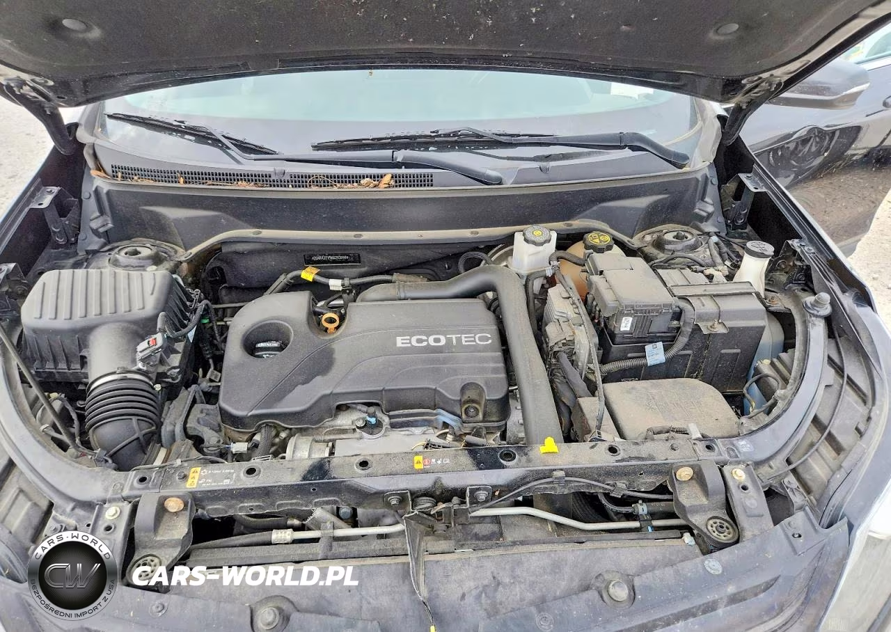 2019 Chevrolet Equinox Lt VIN:2GNAXJEV9K6253555 - 12