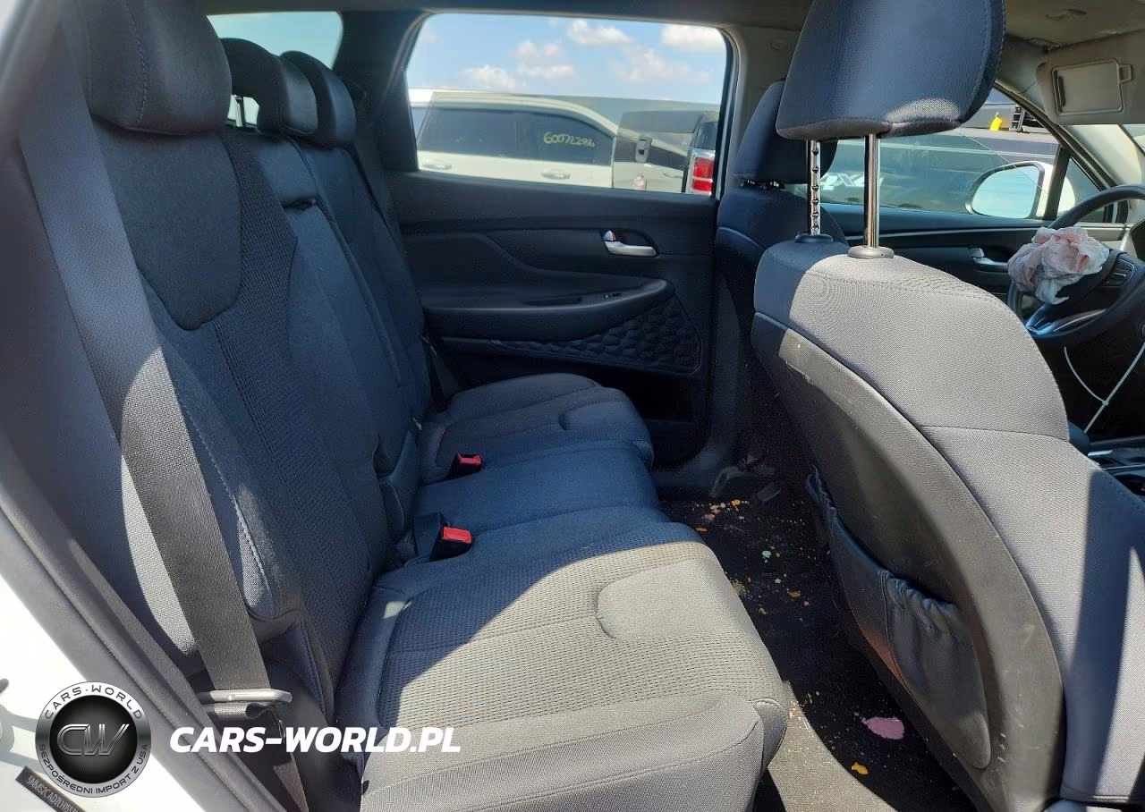 2020 Hyundai Santa Fe Se VIN:5NMS2CAD2LH155319 - 10