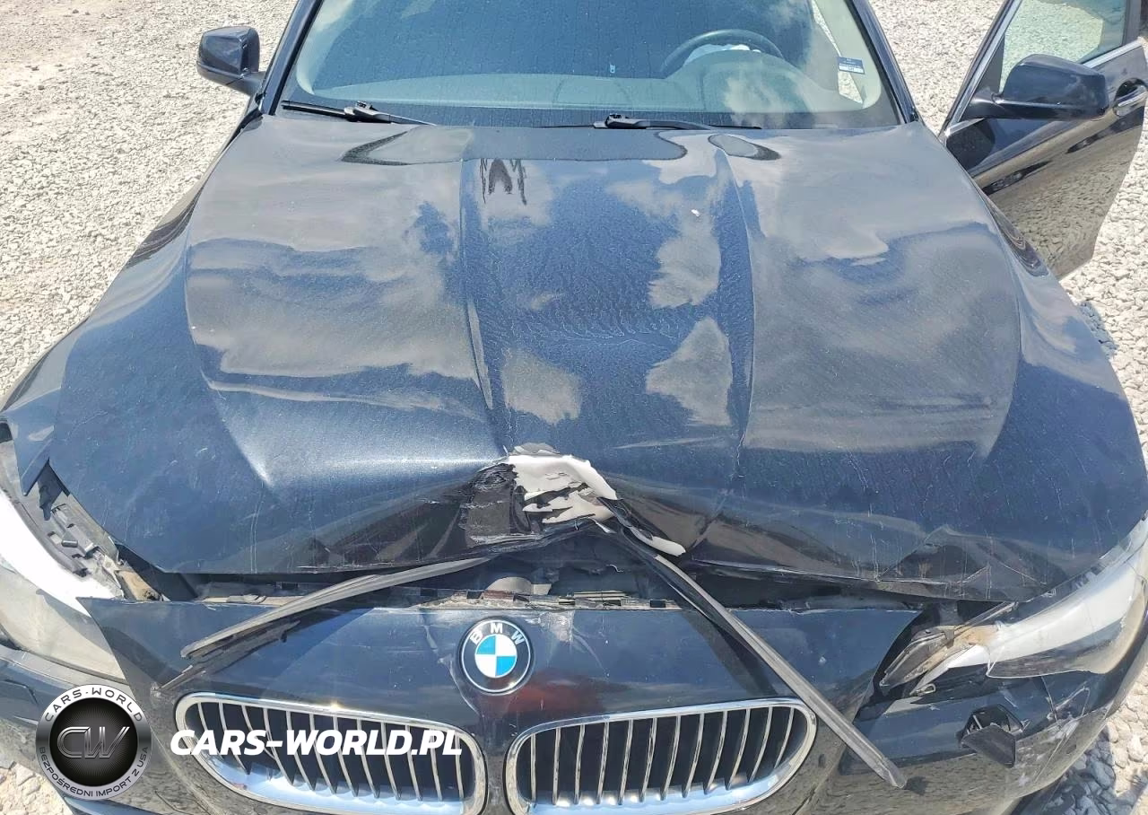 2013 BMW 528 Xi VIN:WBAXH5C56DDW14574 - 11