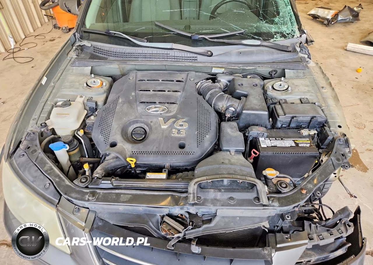 2009 Hyundai Sonata Se V6 VIN:5NPEU46F89H438763 - 11
