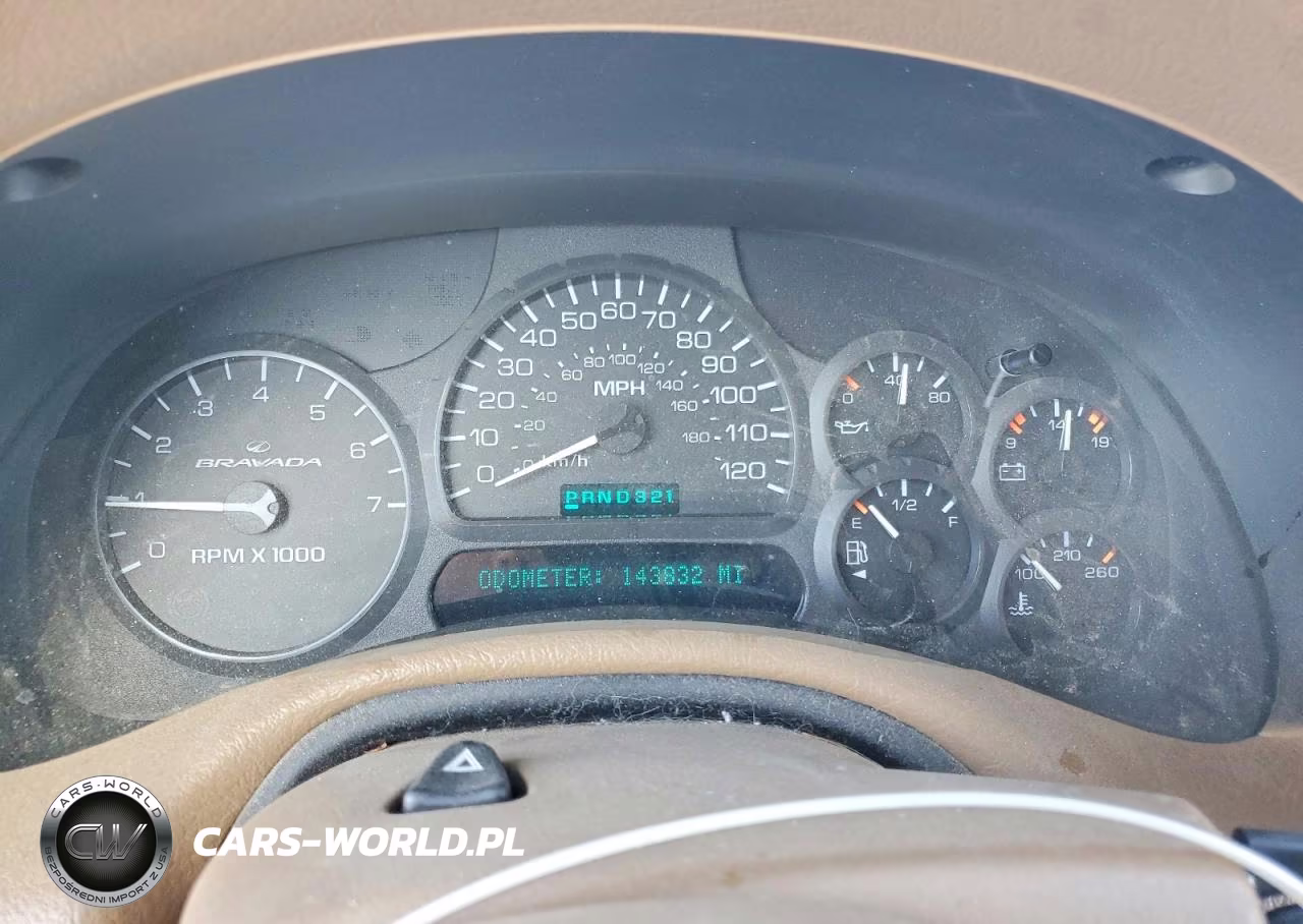 2002 Oldsmobile Bravada VIN:1GHDT13S422191645 - 9