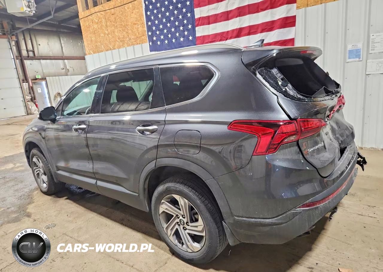 2023 Hyundai Santa Fe Sel VIN:5NMS2DAJ4PH554430 - 2
