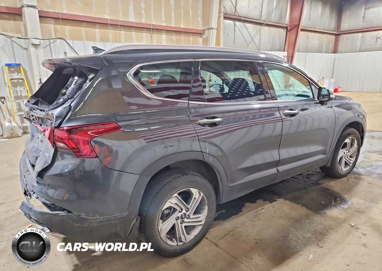 2023 Hyundai Santa Fe Sel VIN:5NMS2DAJ4PH554430 - 3