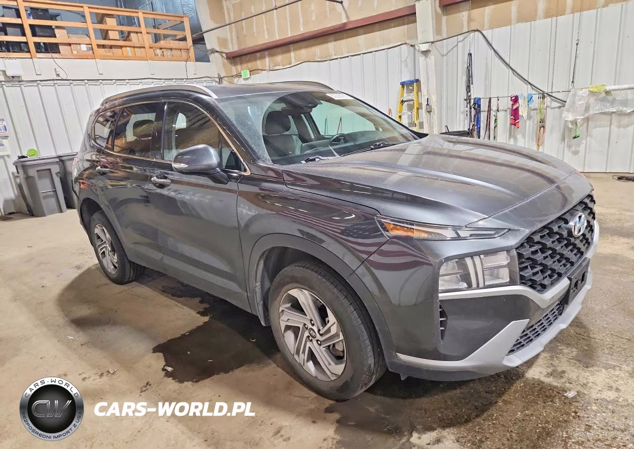 2023 Hyundai Santa Fe Sel VIN:5NMS2DAJ4PH554430 - 4