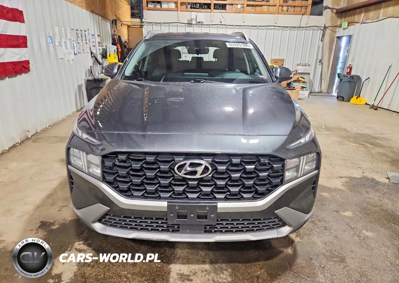 2023 Hyundai Santa Fe Sel VIN:5NMS2DAJ4PH554430 - 5