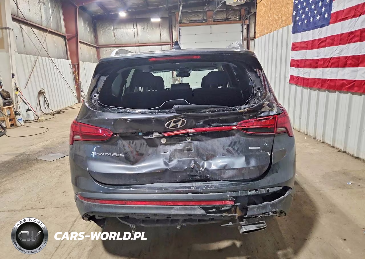 2023 Hyundai Santa Fe Sel VIN:5NMS2DAJ4PH554430 - 6