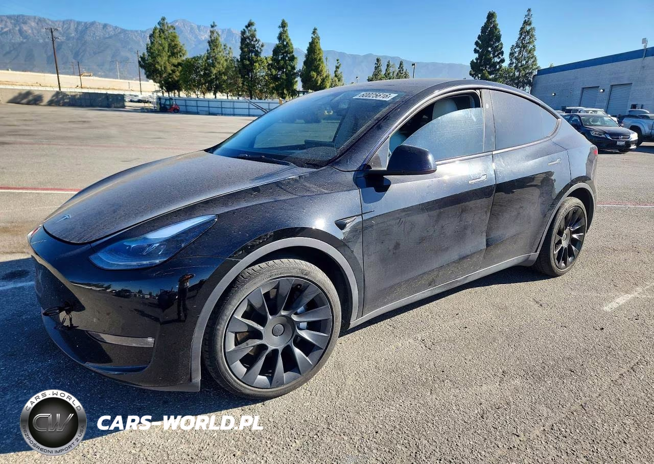 2023 Tesla Model Y VIN:7SAYGDEE4PF867653 - 1