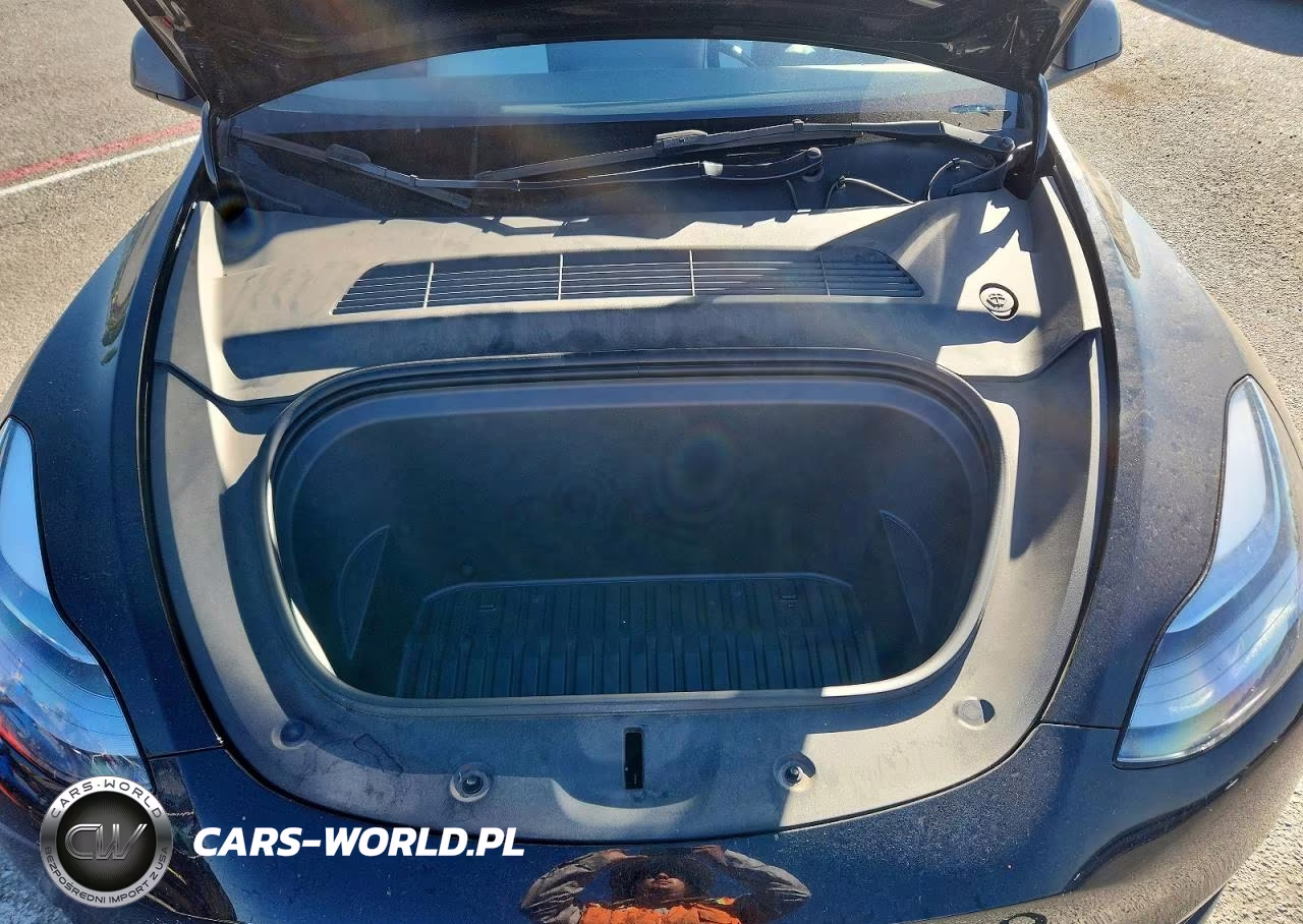 2023 Tesla Model Y VIN:7SAYGDEE4PF867653 - 11