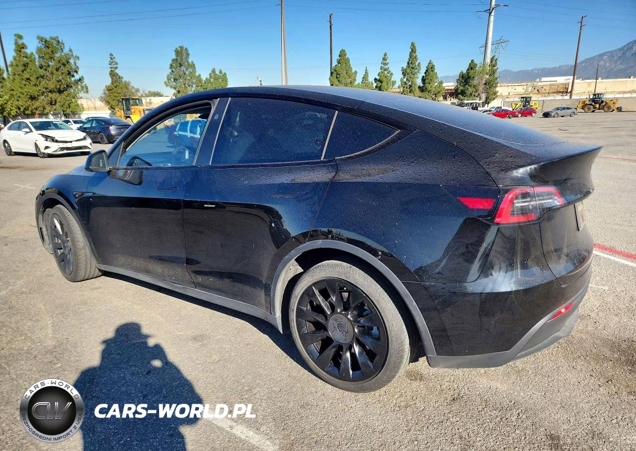 2023 Tesla Model Y VIN:7SAYGDEE4PF867653 - 2