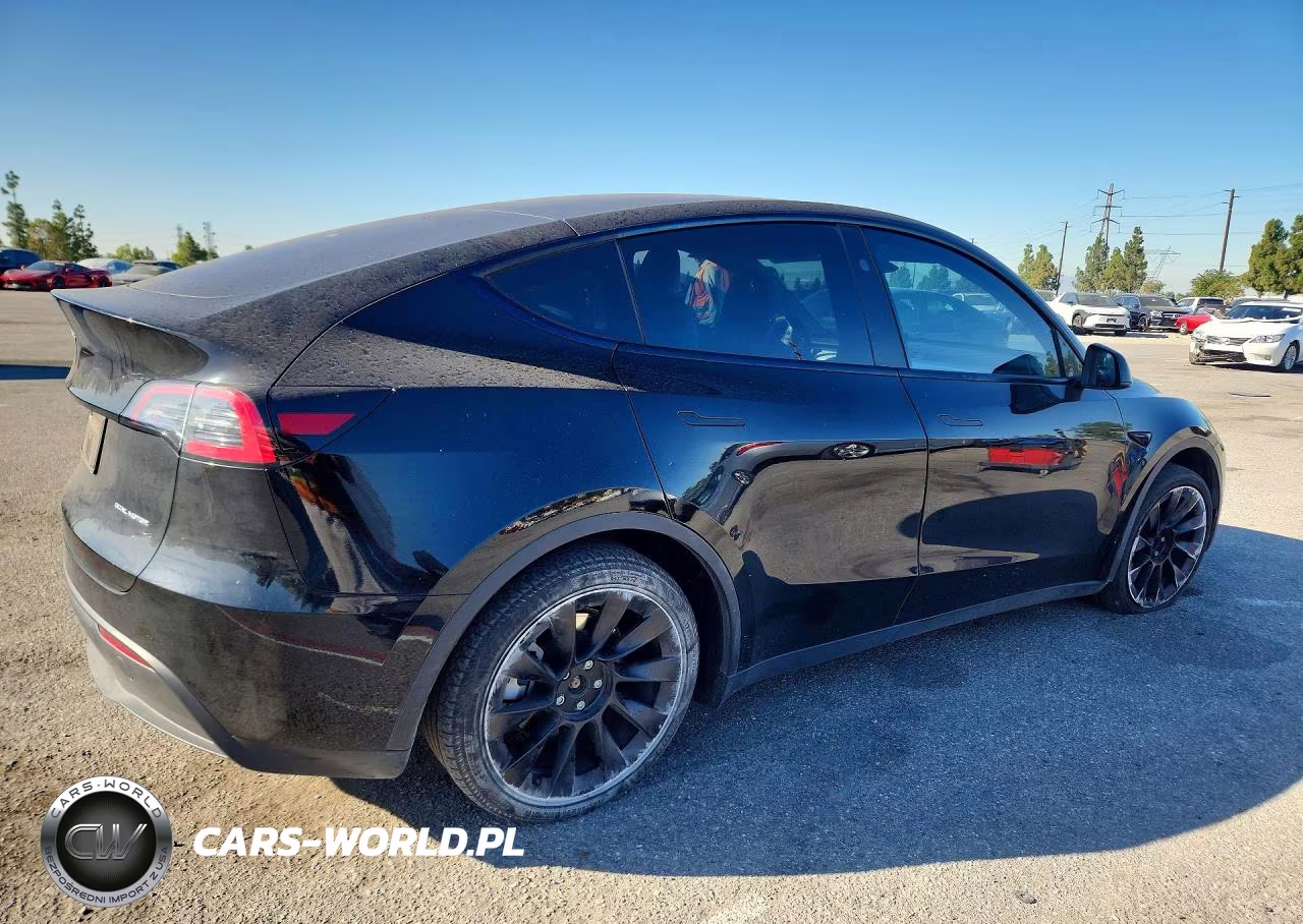 2023 Tesla Model Y VIN:7SAYGDEE4PF867653 - 3