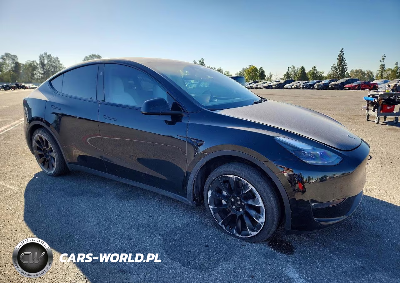 2023 Tesla Model Y VIN:7SAYGDEE4PF867653 - 4