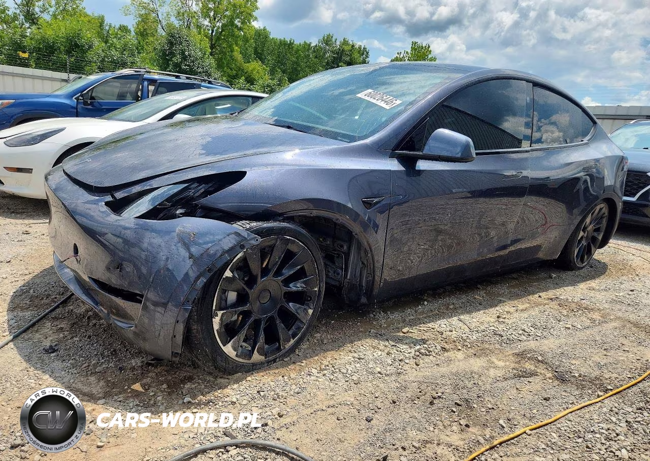 2023 Tesla Model Y VIN:7SAYGDEE3PF869779 - 1