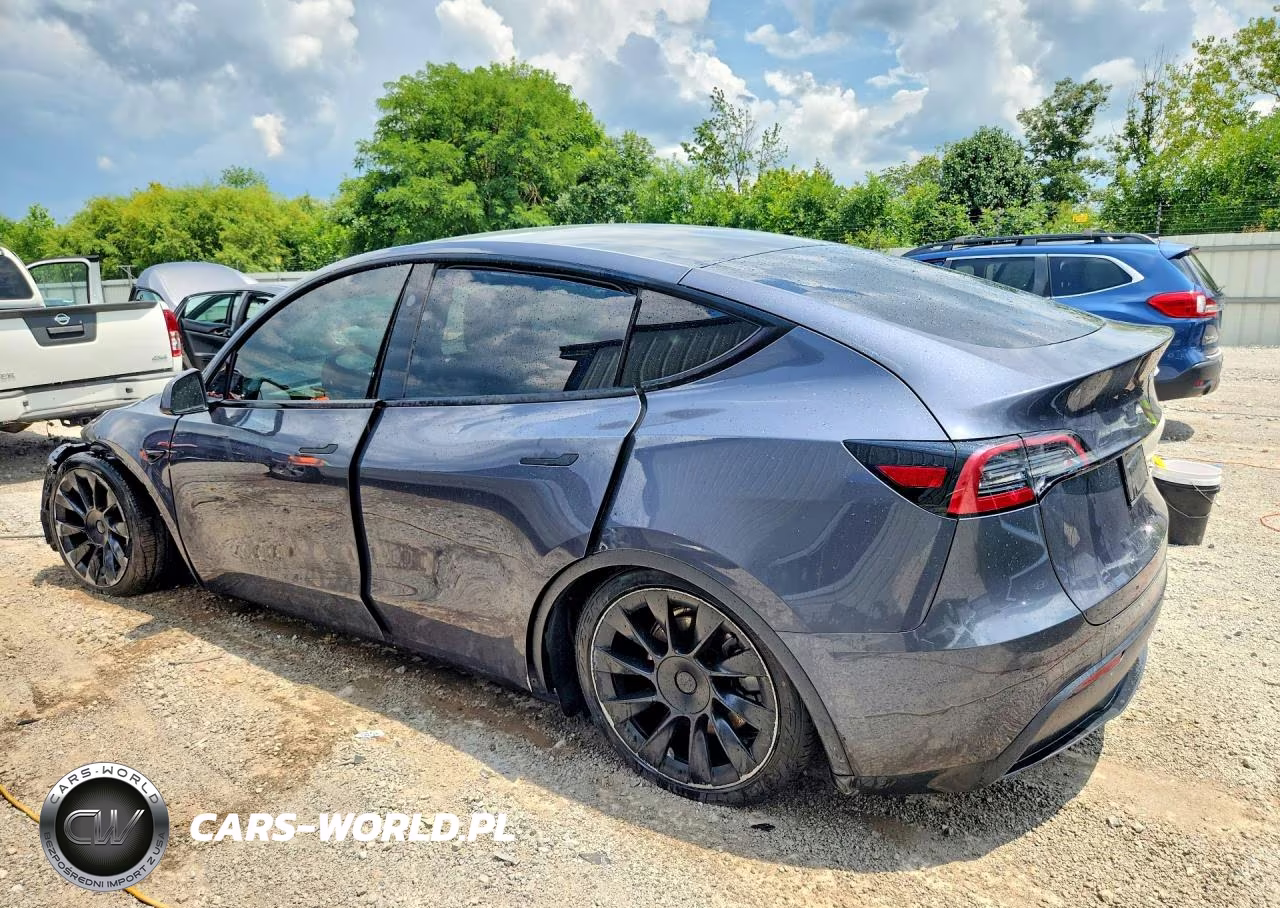 2023 Tesla Model Y VIN:7SAYGDEE3PF869779 - 2
