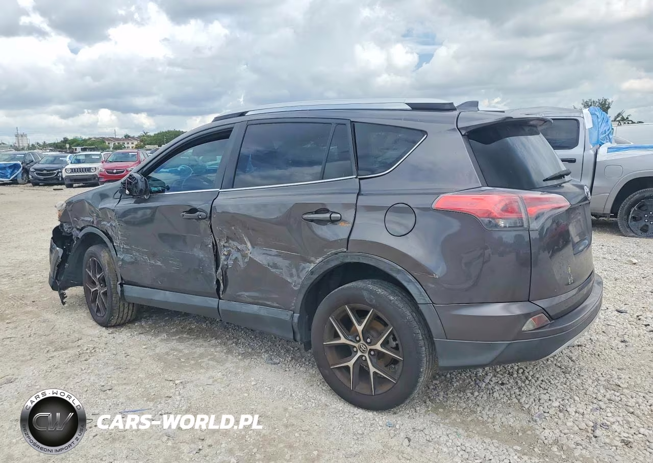 2016 Toyota Rav4 Se VIN:2T3NFREV7GW309712 - 2