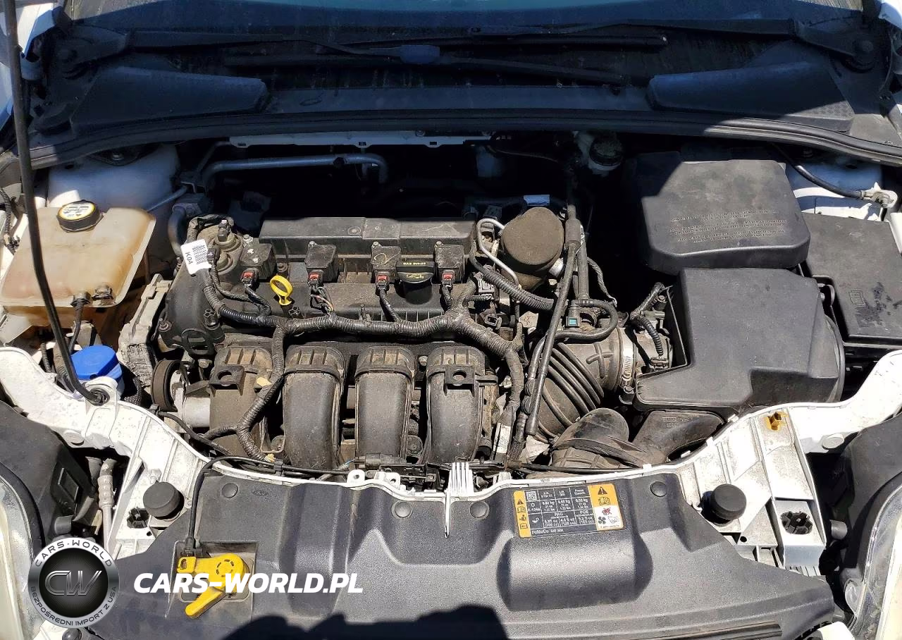 2014 Ford Focus Se VIN:1FADP3F28EL355484 - 11
