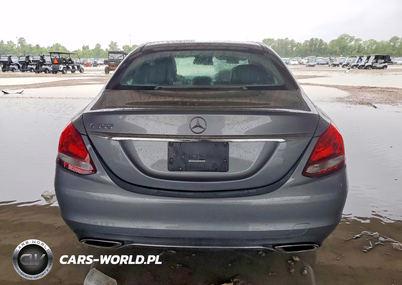 2016 Mercedes-Benz C 300 VIN:55SWF4JB2GU130372 - 6