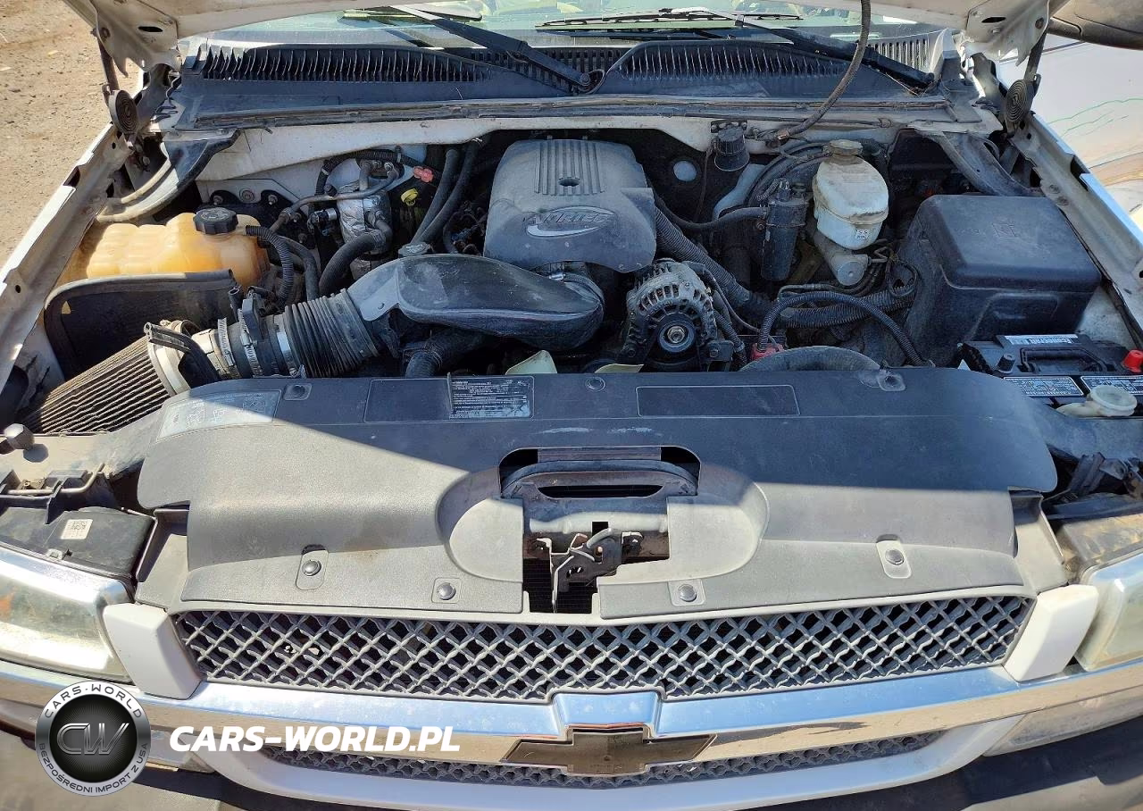 2004 Chevrolet Silverado K1500 VIN:2GCEK19V141105094 - 11