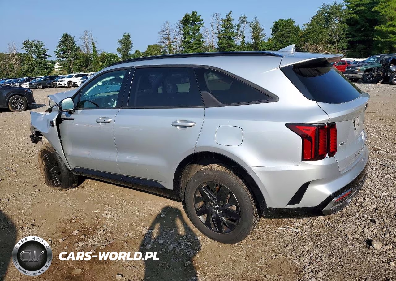2021 Kia Sorento Ex VIN:5XYRHDLF7MG059442 - 2