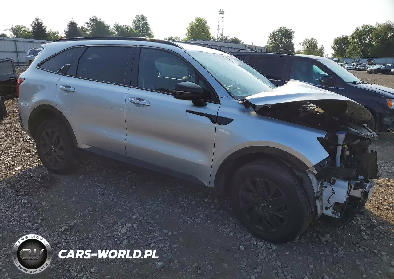 2021 Kia Sorento Ex VIN:5XYRHDLF7MG059442 - 4