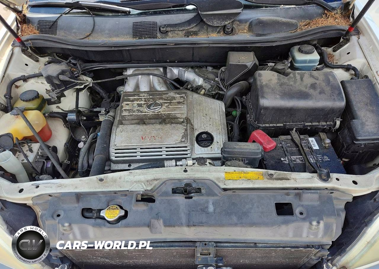 2002 Lexus Rx 300 VIN:JTJGF10U520147758 - 12