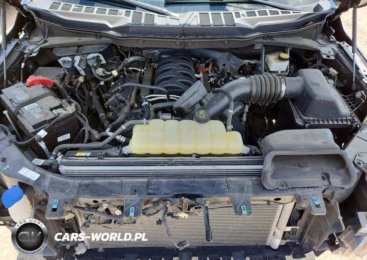 2024 Ford F150 Xlt VIN:1FTFW3L51RKE97613 - 11