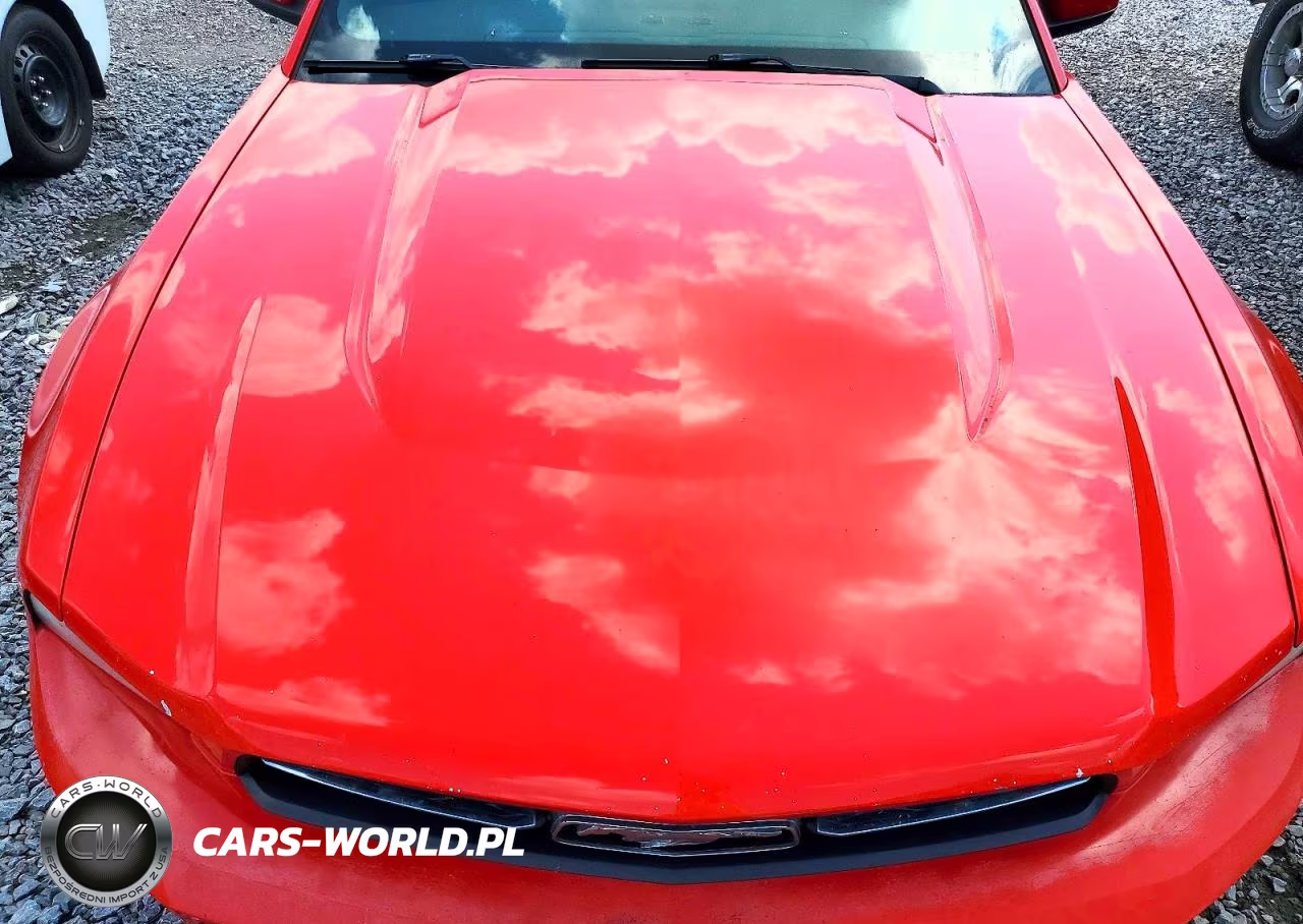 2012 Ford Mustang VIN:1ZVBP8AM5C5204446 - 11