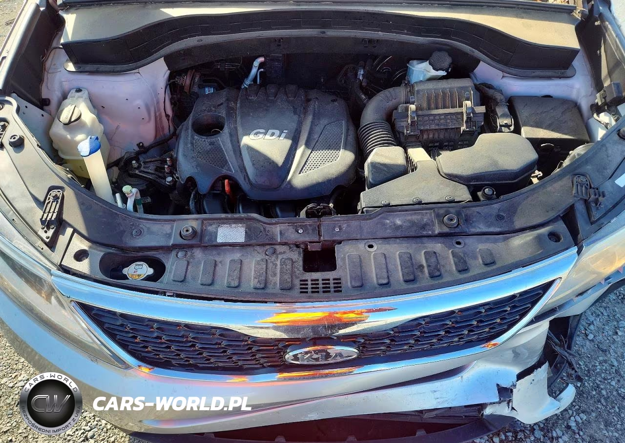 2014 Kia Sorento Lx VIN:5XYKT3A62EG520268 - 12