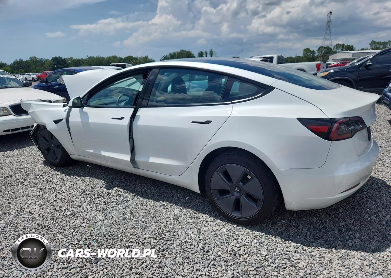 2023 Tesla Model 3 VIN:5YJ3E1EA7PF499641 - 2