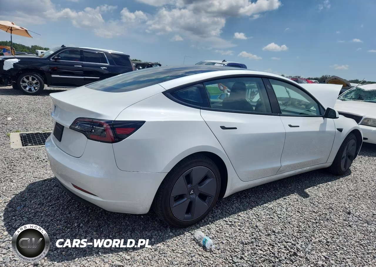 2023 Tesla Model 3 VIN:5YJ3E1EA7PF499641 - 3
