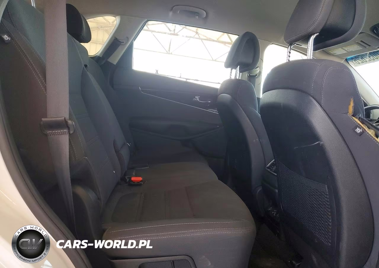 2016 Kia Sorento Lx VIN:5XYPGDA38GG022102 - 10
