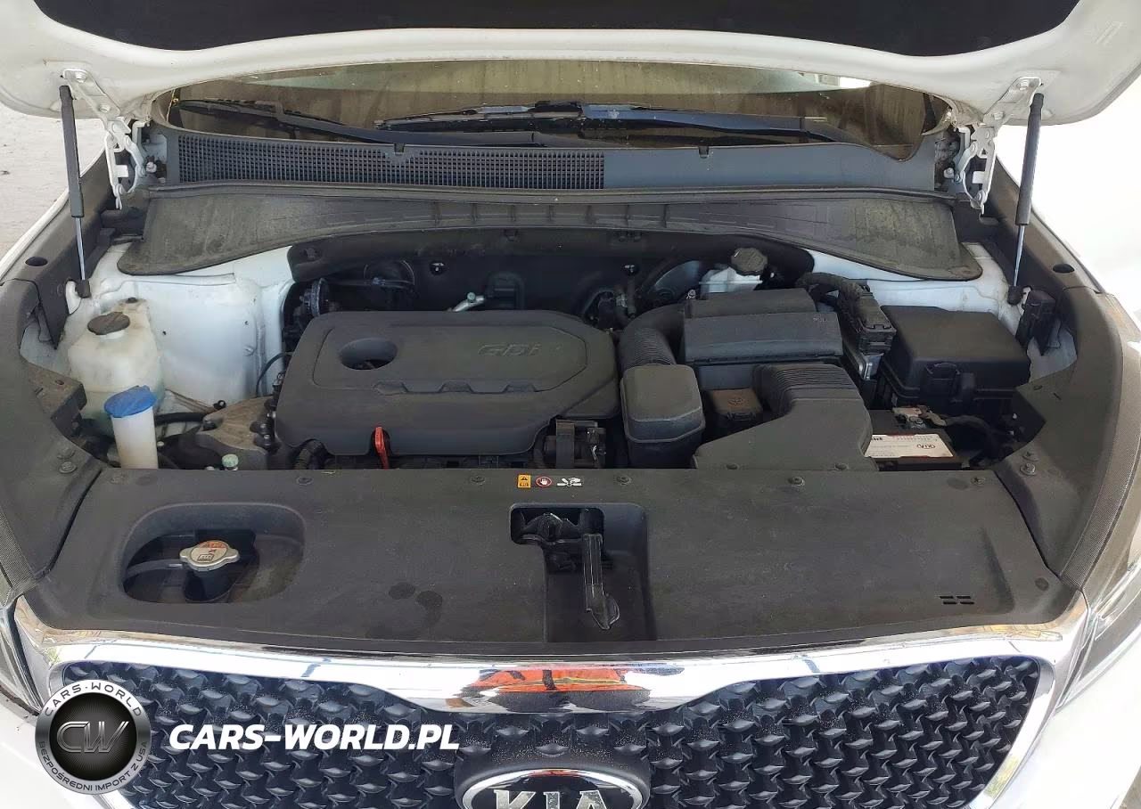 2016 Kia Sorento Lx VIN:5XYPGDA38GG022102 - 11