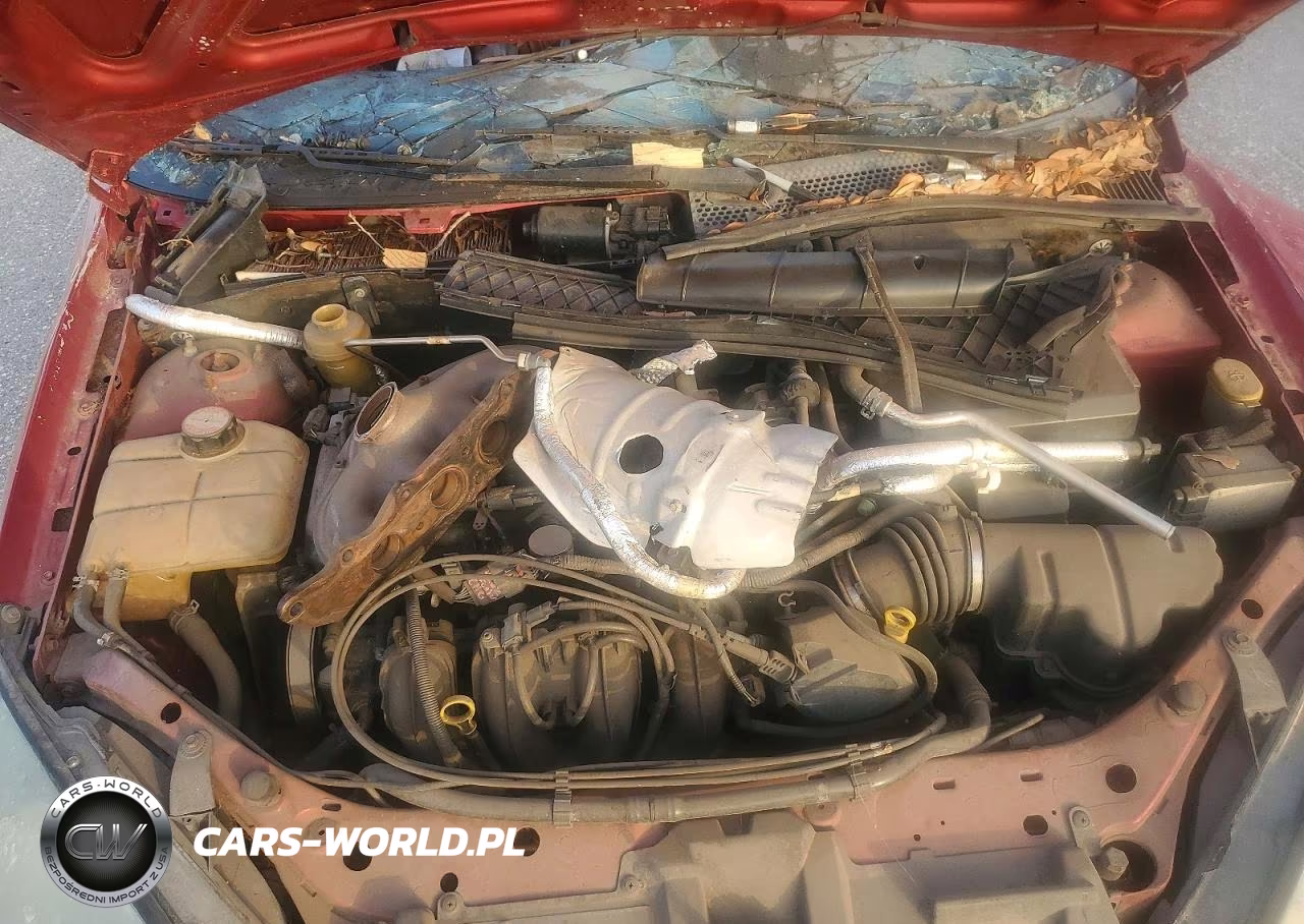 2004 Ford Focus Zx3 VIN:3FAFP31Z24R103937 - 11
