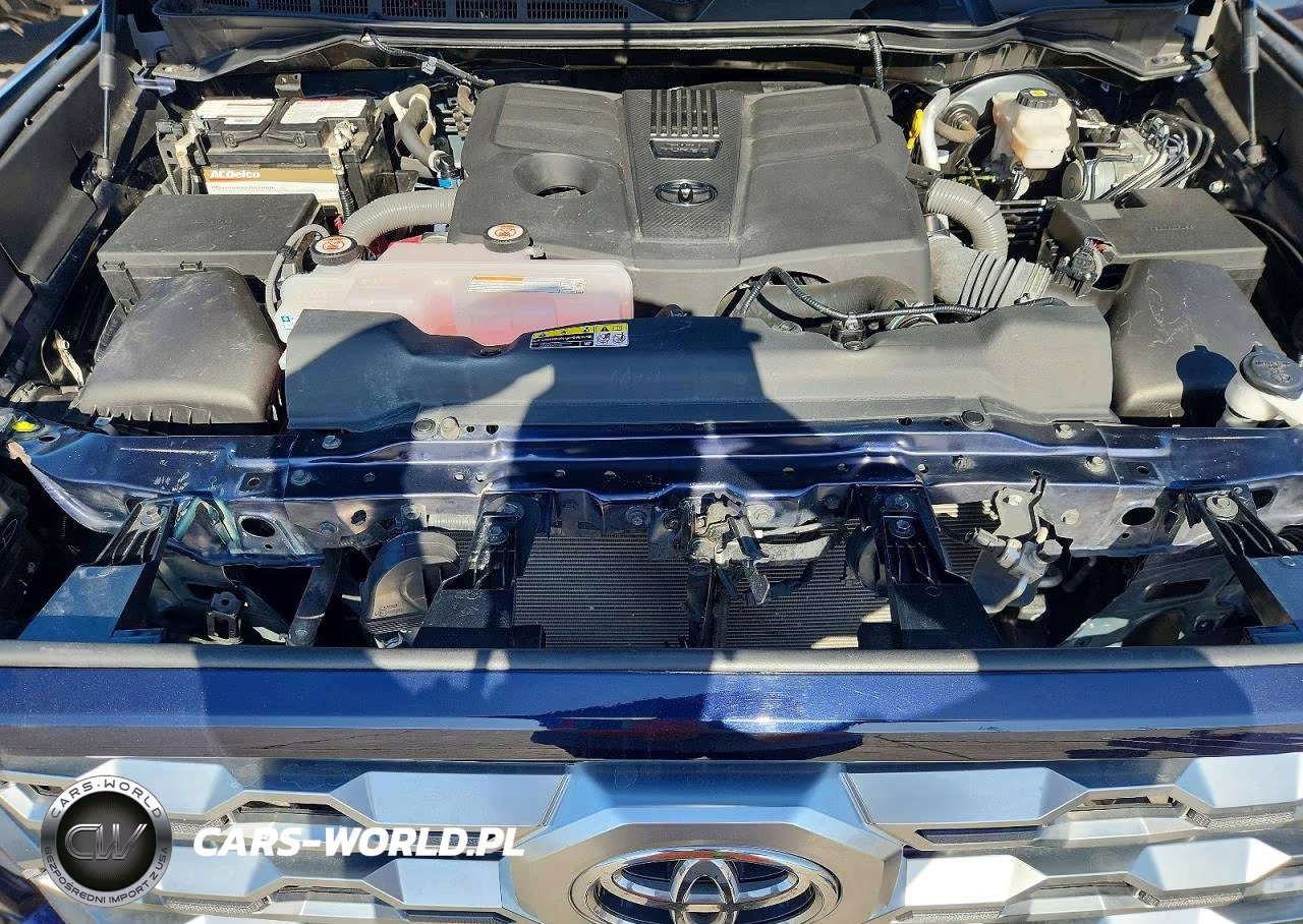 2023 Toyota Tundra Platinum VIN:5TFNA5DB7PX106863 - 11