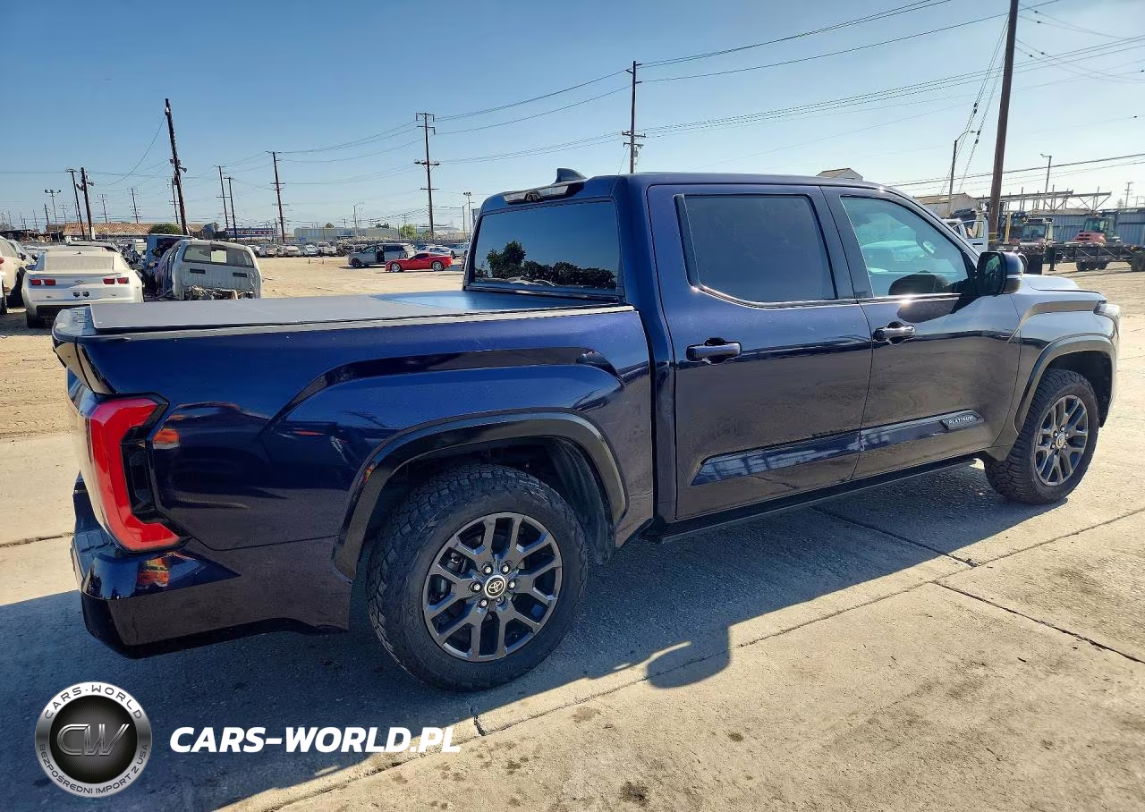 2023 Toyota Tundra Platinum VIN:5TFNA5DB7PX106863 - 3